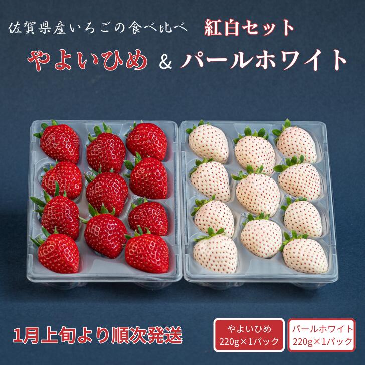 佐賀県産いちご やよいひめ&パールホワイト 紅白セット：B140-082