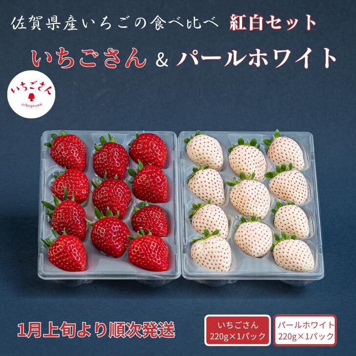 佐賀県産いちご いちごさん&パールホワイト 紅白セット：B140-083