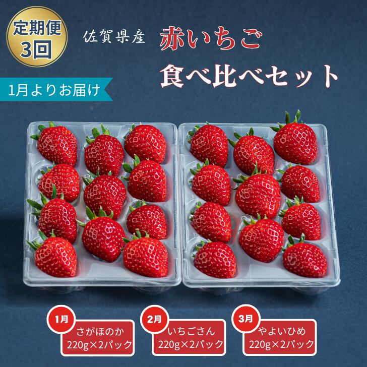 【定期便3回】赤いちご食べ比べ（1月〜3月発送）：B275-005