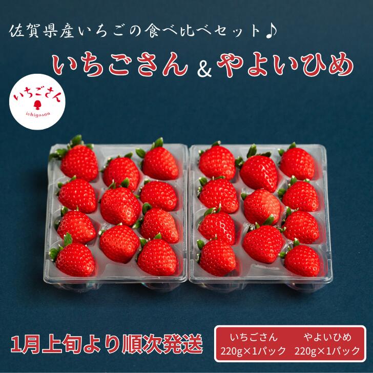 佐賀県産いちご いちごさん&やよいひめセット：B100-041