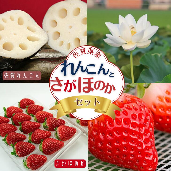 佐賀県産 れんこんとさがほのかのセット：B160-020