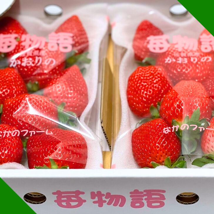 【ふるさと納税】佐賀県産 いちご「かおりの」選べる 250g×2～4P：A080-006 - 画像2