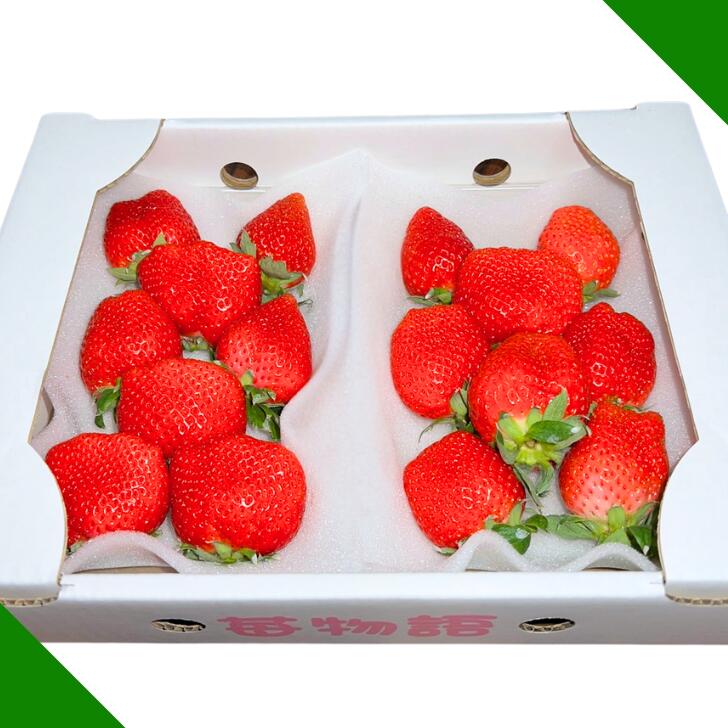 【ふるさと納税】佐賀県産 いちご「かおりの」選べる 250g×2～4P：A080-006 - 画像3