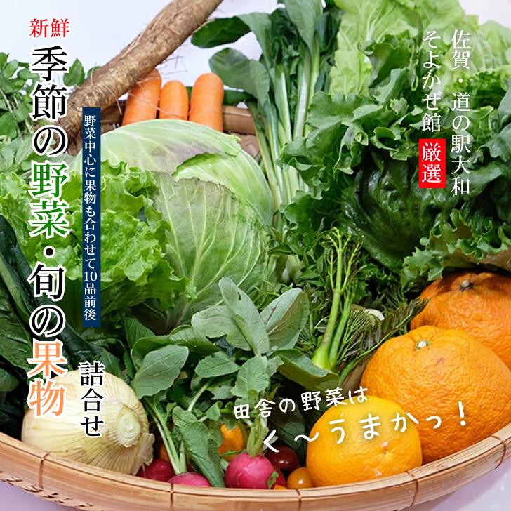 旬の野菜と果物セット：B165-002