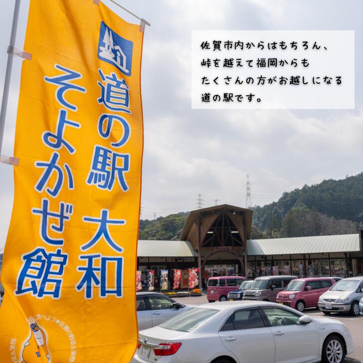 【ふるさと納税】旬の野菜と果物セット：B165-002 - 画像3