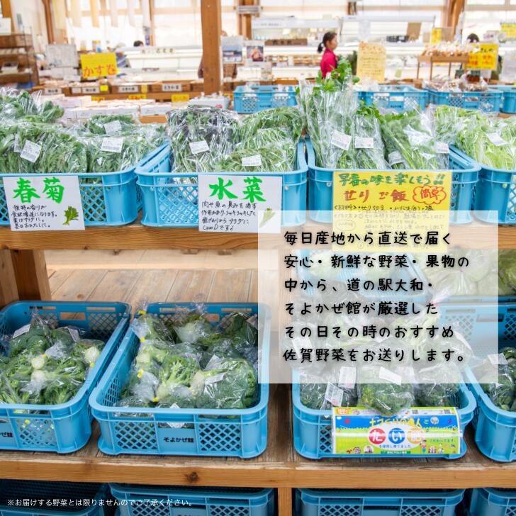 【ふるさと納税】旬の野菜と果物セット：B165-002 - 画像2