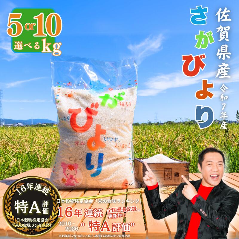 令和7年産 佐賀県産 さがびより 白米 選べる 5kg～10kg おこめ 米 ：B170-023