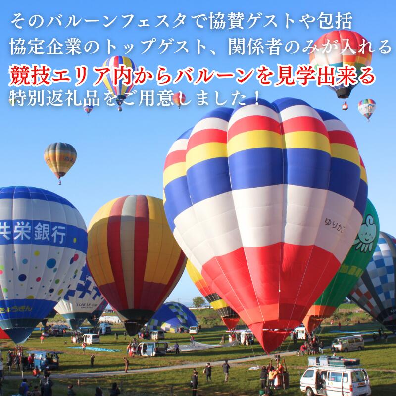 【ふるさと納税】バルーン離陸エリアへ特別入場！佐賀インターナショナルバルーンフェスタ 特別観覧プラン 10月31日（土）～11月3日（火・祝）各日1組限定！：B500-004 - 画像3