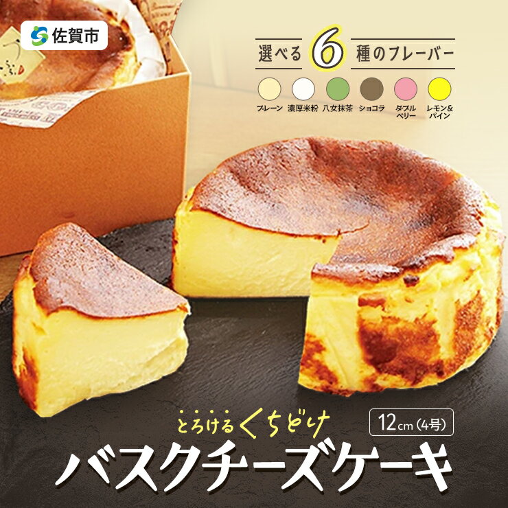 バスクチーズケーキ 選べる6種：A080-001