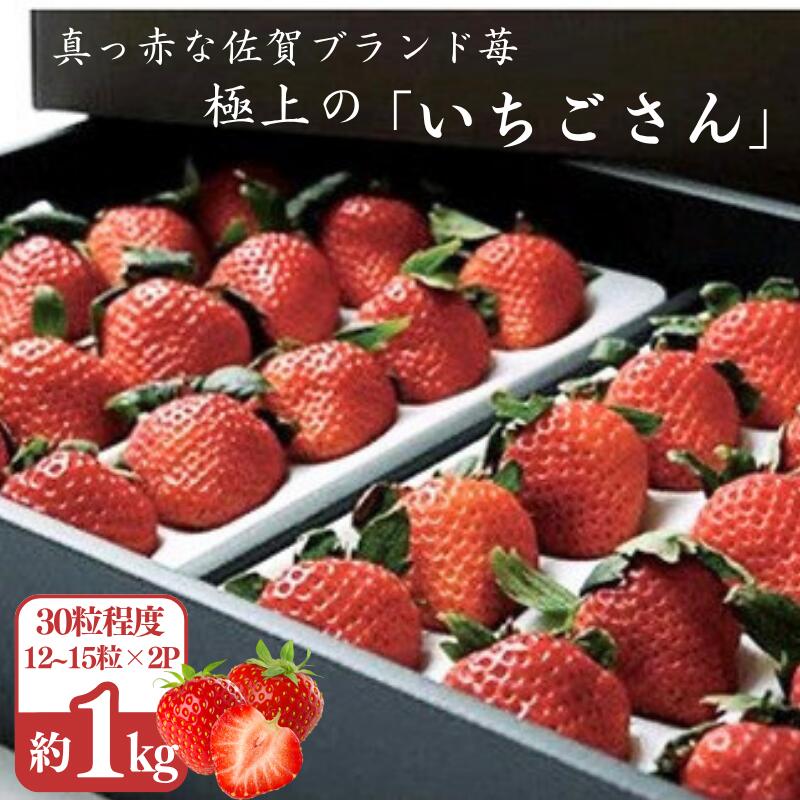 極上のいちごさん ITOFARM 苺 佐賀県産 イチゴ フルーツ 果物 ：B240-016