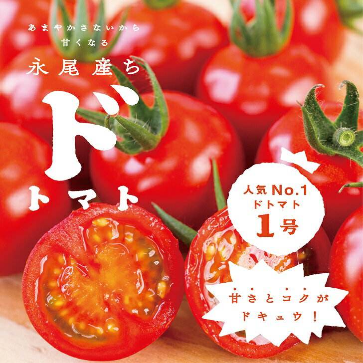 【人気】甘さとコクがド級！ドトマト1号：B140-010