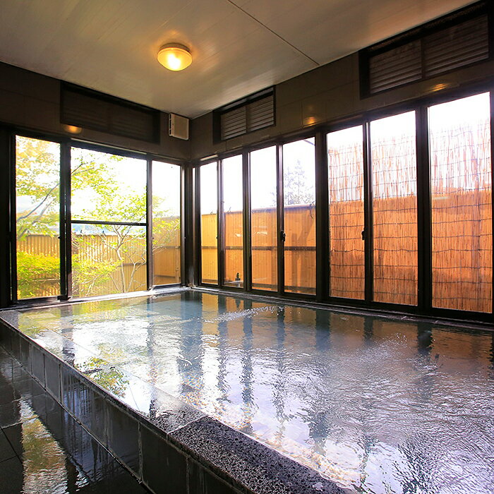 【ふるさと納税】夢千鳥日帰りプランペアご利用券：B465-007 - 画像2