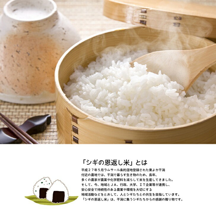 【ふるさと納税】＜白米・玄米＞佐賀東与賀産シギの恩返し米（特別栽培米夢しずく）選べる 5kg～10kg：B160-042 - 画像2