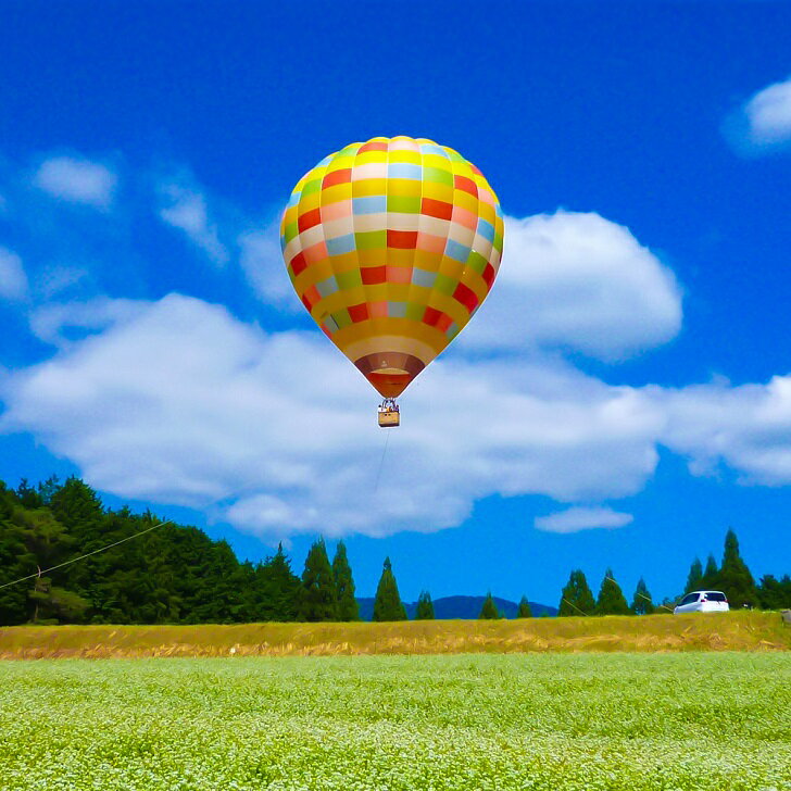 【ふるさと納税】＜白米・玄米＞佐賀東与賀産シギの恩返し米（特別栽培米夢しずく）選べる 5kg～10kg：B160-042 - 画像3