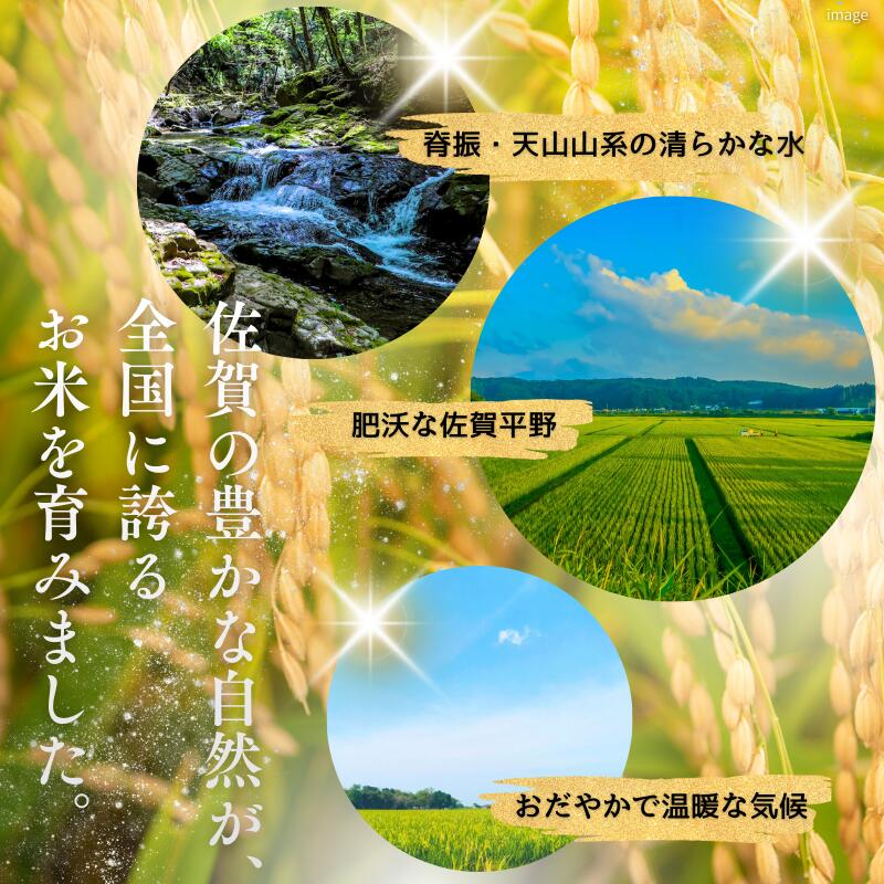 【ふるさと納税】令和7年 佐賀県産さがびより 白米6kg：B170-036 - 画像2