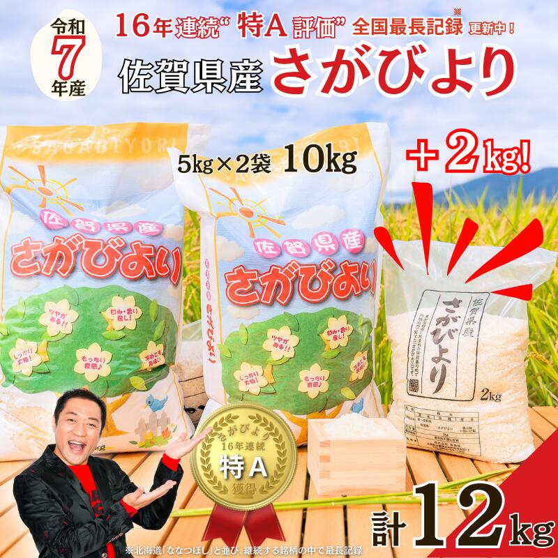 令和7年 佐賀県産 さがびより白米12kg：B300-044