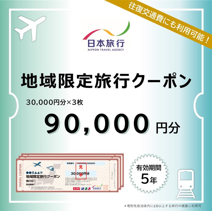 佐賀県佐賀市 地域限定旅行クーポン 90,000円分 日本旅行 トラベルクーポン 納税チケット 旅行 宿泊券 ホテル 観光 旅行 旅行券 交通費 体験 宿泊 夏休み 冬休み 家族旅行 ひとり旅 カップル 夫婦 親子 佐賀市旅行：C300-025
