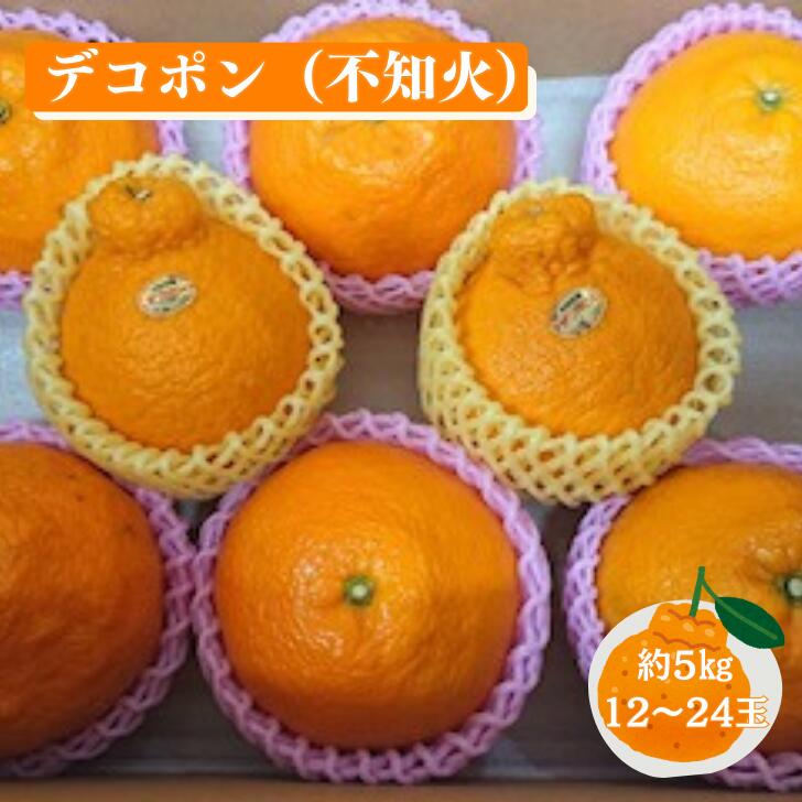 【先行予約】佐賀みかん デコポン【不知火】：B195-006