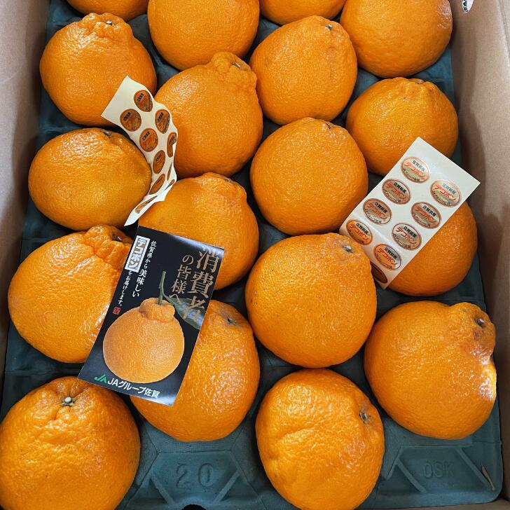 【ふるさと納税】【先行予約】佐賀みかん デコポン【不知火】：B195-006 サムネイル2