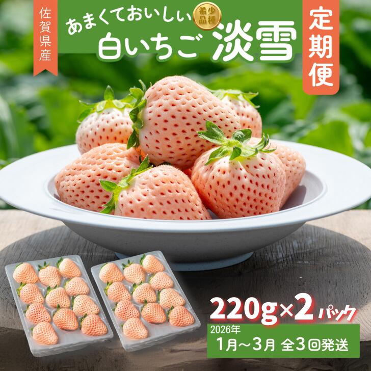 【定期便3回】希少価値 佐賀県産 いちご 淡雪 1~3月発送 フルーツ 果物 定期便 旬 苺 白いちご 九州 佐賀県 佐賀市 清瀬農園 ：B395-008