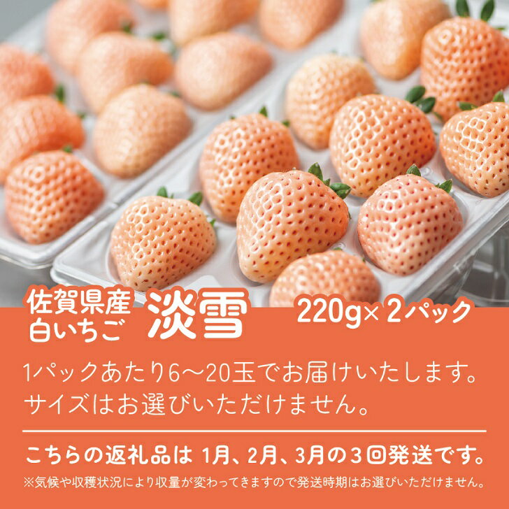 【ふるさと納税】【定期便3回】希少価値 佐賀県産 いちご 淡雪 1~3月発送 フルーツ 果物 定期便 旬 苺 白いちご 九州 佐賀県 佐賀市 清瀬農園 ：B395-008 サムネイル3