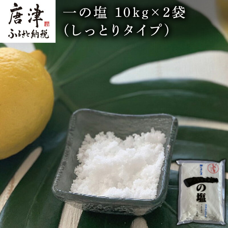 唐津 一の塩 10kg×2袋 (しっとりタイプ) 調味料 料理 しお ソルト 「2025年 令和7年」