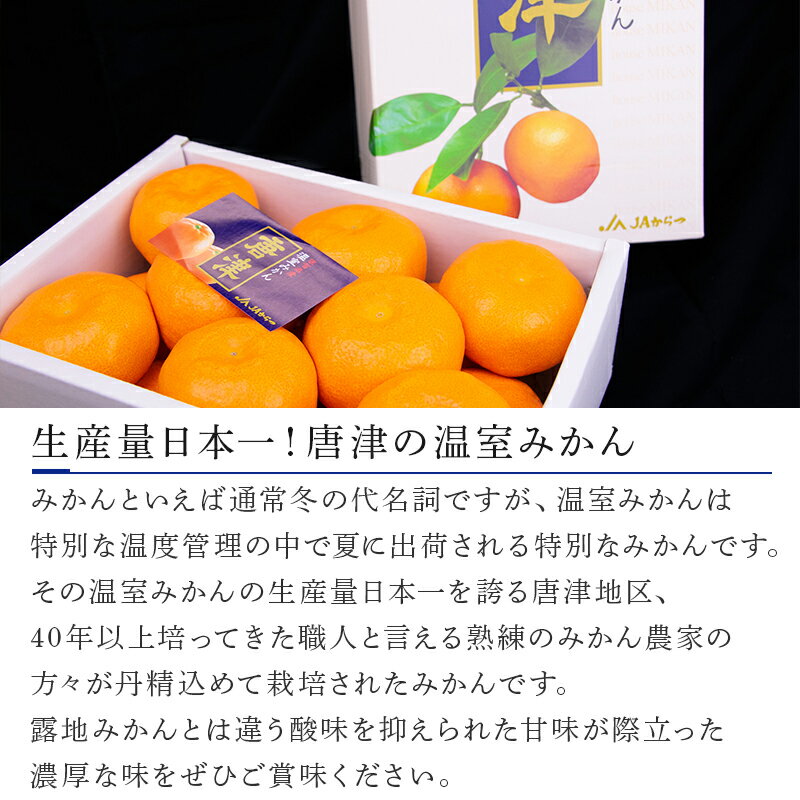 【ふるさと納税】『先行予約』【6月下旬発送予定】唐津産 温室みかん 2.2kg 化粧箱 ハウスみかん ミカン 果物 フルーツ ギフト サムネイル3