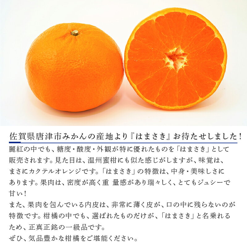 【ふるさと納税】『先行予約』【令和8年1月下旬発送予定】唐津産 はまさき 3kg 化粧箱 みかん ミカン オレンジ フルーツ 果物 ギフト サムネイル3