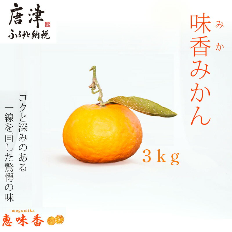 『先行予約』【令和8年2月上旬発送】果皮も丸ごとガブッ！味香みかん 3kg 新種のミカン フルーツ 果物 デザート 柑橘