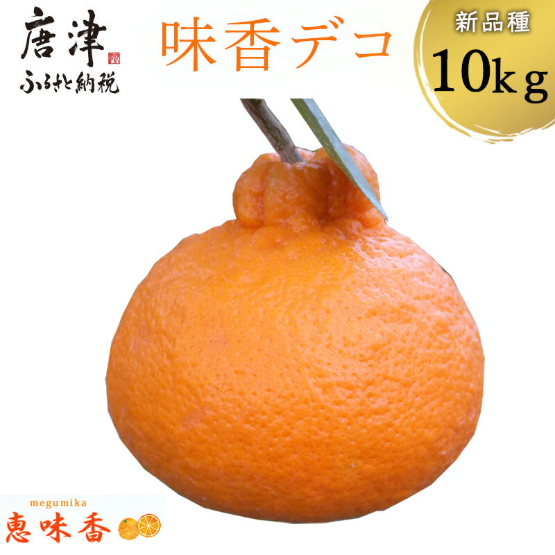 『先行予約』【令和8年3月上旬発送】糖度が高すぎッ！味香デコ 10kg 新品種 果皮も美味しく食べられる！フルーツ 果物 デザート 柑橘