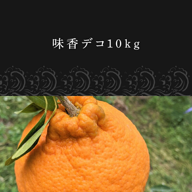 【ふるさと納税】『先行予約』【令和8年3月上旬発送】糖度が高すぎッ！味香デコ 10kg 新品種 果皮も美味しく食べられる！フルーツ 果物 デザート 柑橘 サムネイル2