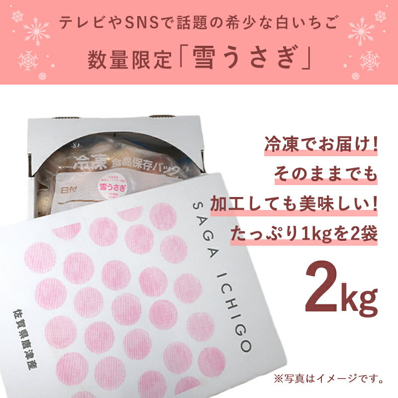 【ふるさと納税】数量限定 白いちご 雪うさぎ 冷凍 2kg (佐賀県唐津市産) サムネイル2