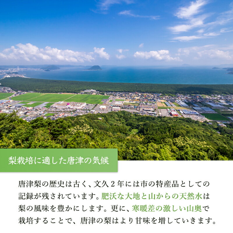 【ふるさと納税】『先行予約』今が食べ頃 特栽 旬の梨5kg【令和8年の夏ごろの発送】和梨 幸水 豊水 新高 あきづき 愛宕 果物 フルーツ くだもの サムネイル3