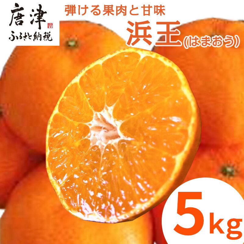 『先行予約』【令和8年1月下旬発送】浜王(はまおう) ハウス栽培 唐津産 5kg 口之津(くちのつ) 39号みかん フルーツ 果物 柑橘 かんきつ