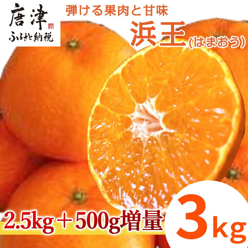 『先行予約』【令和8年1月下旬発送】浜王(はまおう) ハウス栽培 唐津産 3kg 口之津(くちのつ) 39号みかん フルーツ 果物 柑橘 かんきつ