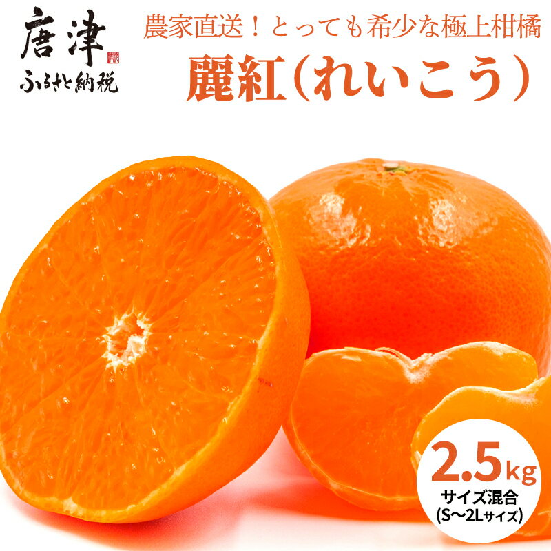 『予約受付』【令和8年1月下旬発送】麗紅(れいこう) ハウス栽培 唐津産 2.5kg 混合サイズ みかん 蜜柑 柑橘 果物 フルーツ