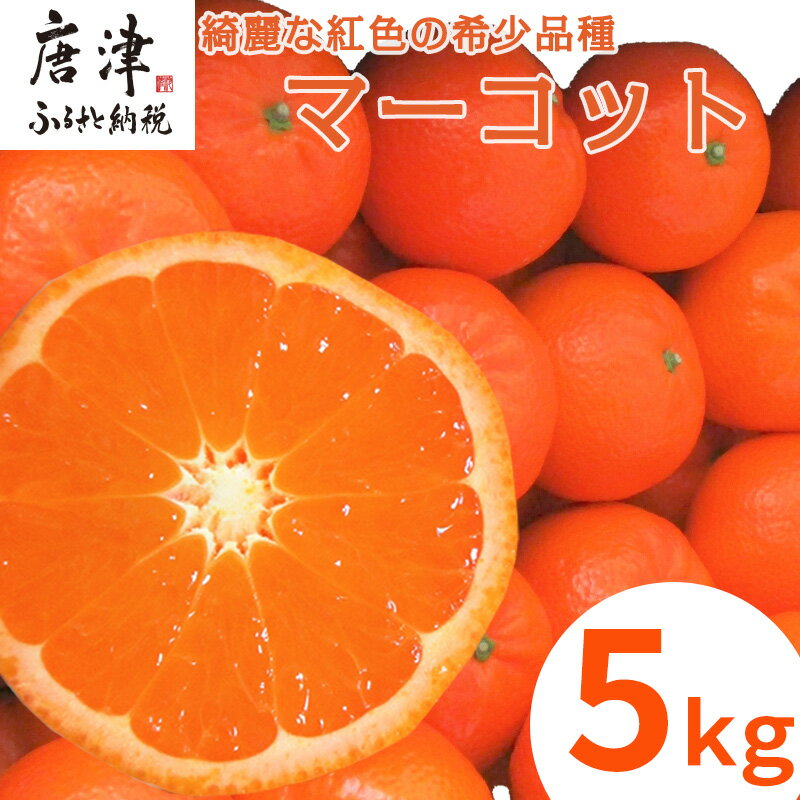 『先行予約』【令和8年2月中旬発送】マーコット（ハウス栽培）唐津産 5kg みかん ミカン 果物 フルーツ