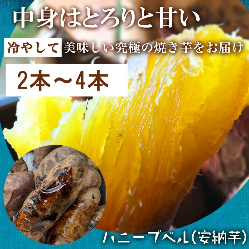【ふるさと納税】冷凍焼き芋 紅おとか (紅はるか系)＆ハニープぺル(安納芋) 食べ比べセット (合計1.2kg) 桃山天下芋本舗 やきいも さつまいも おやつ - 画像3