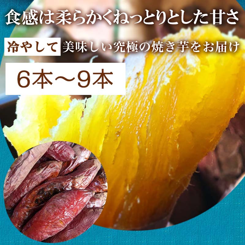 【ふるさと納税】冷凍焼き芋 紅おとか (紅はるか系) 計1.2kg 桃山天下芋本舗 やきいも さつまいも おやつ 「2026年 令和8年」 - 画像2