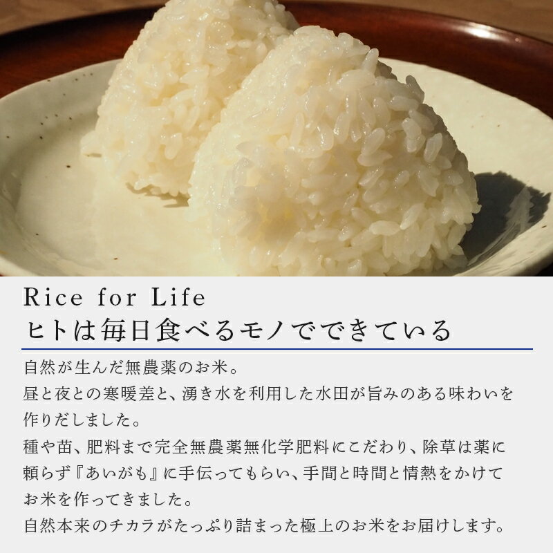 【ふるさと納税】唐津産 あいがも米 5kg (白米) 一粒田 合鴨農法 無農薬 無化学肥料 コメ お米 ごはん - 画像2