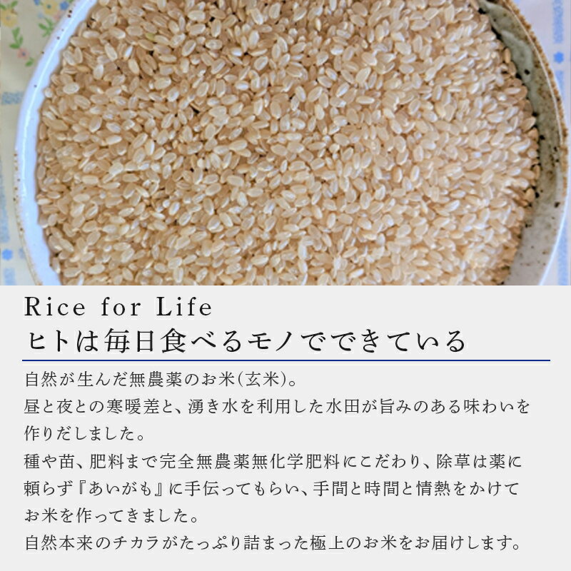 【ふるさと納税】唐津産 あいがも米 5kg (玄米) 一粒田 合鴨農法 無農薬 無化学肥料 コメ お米 ごはん - 画像2
