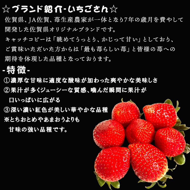 【ふるさと納税】『先行予約』【令和8年3月から5月までに順次発送】唐津産 いちごさん 「パック数を選べる！」1パック約250g(2パック〜12パック) 濃厚いちご 苺 イチゴ 果物 フルーツ サムネイル2