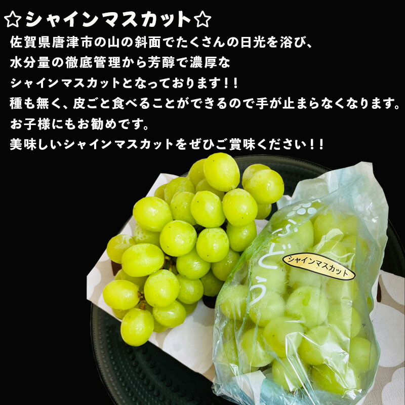 【ふるさと納税】『先行予約』【令和年9月上旬より順次発送】シャインマスカット「グラム数を選べる！」(500g〜3Kg) 葡萄 ぶどう 果物 フルーツ スイーツ サムネイル2