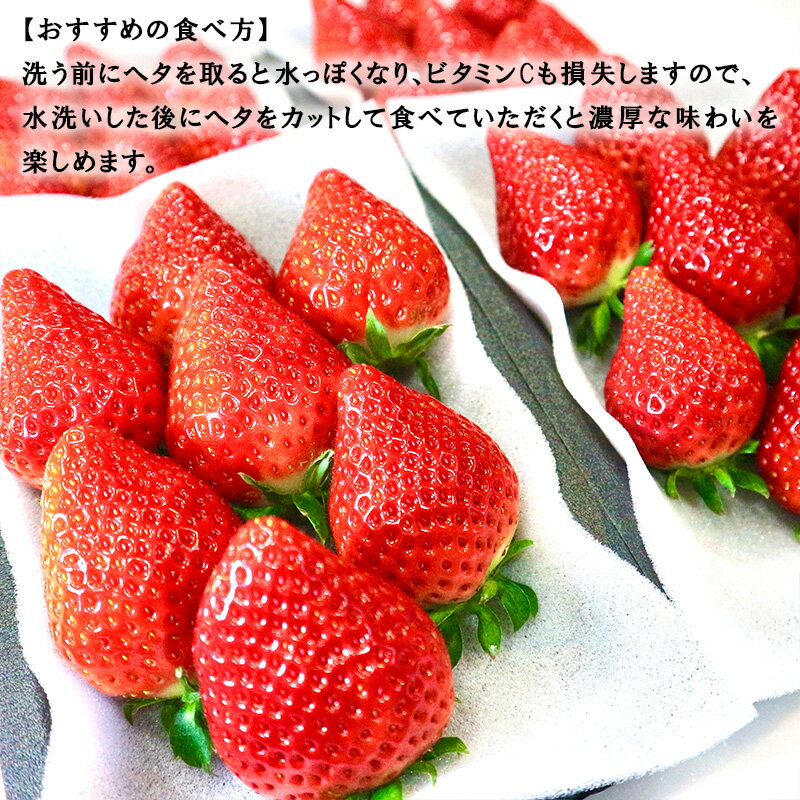 【ふるさと納税】『先行予約』【令和8年3月から5月までに順次発送】唐津産 いちごさん 「パック数を選べる！」1パック約250g(2パック〜12パック) 濃厚いちご 苺 イチゴ 果物 フルーツ サムネイル3