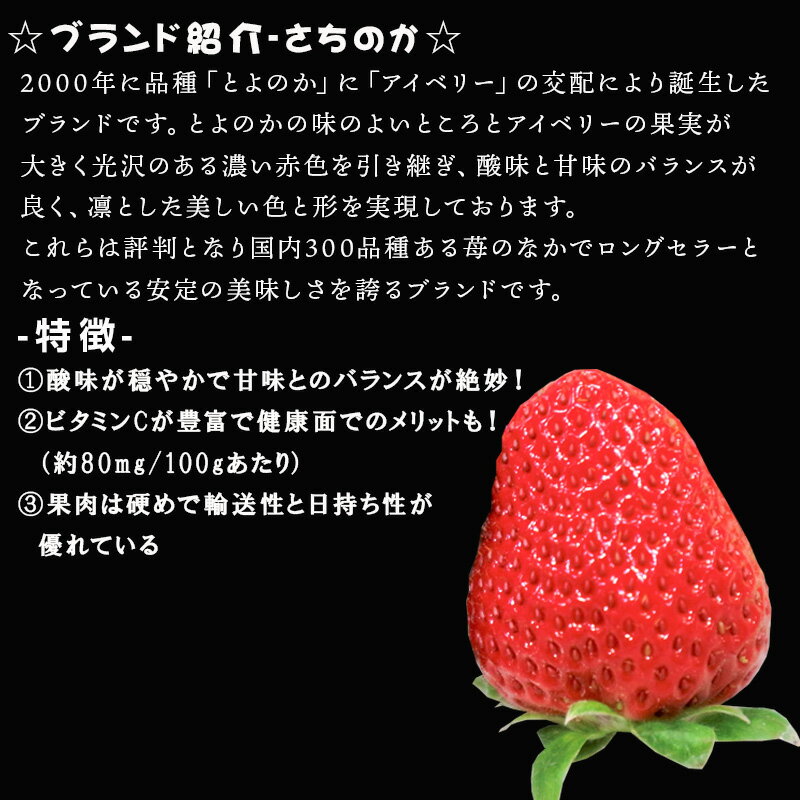 【ふるさと納税】『先行予約』【令和8年2月より順次発送】濃厚苺 さちのか「パック数を選べる！」1パック250g(2パック〜12パック) 濃厚いちご 苺 イチゴ 果物 フルーツ ビタミン サムネイル3