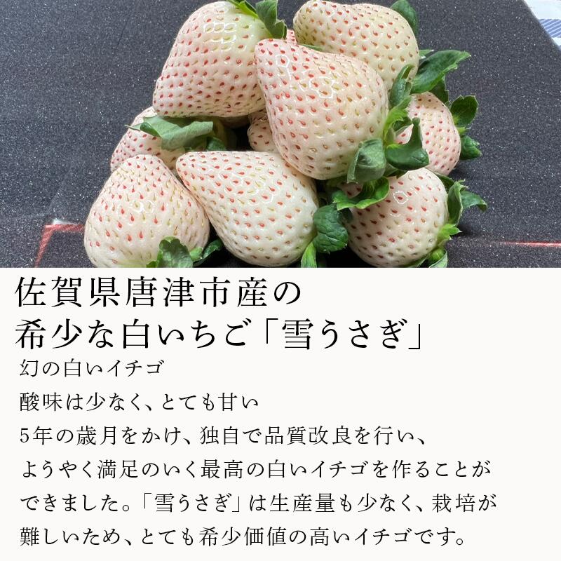 【ふるさと納税】唐津産 白いちご「雪うさぎ」苺 イチゴ 希少 果物 フルーツ ハマファーム サムネイル2