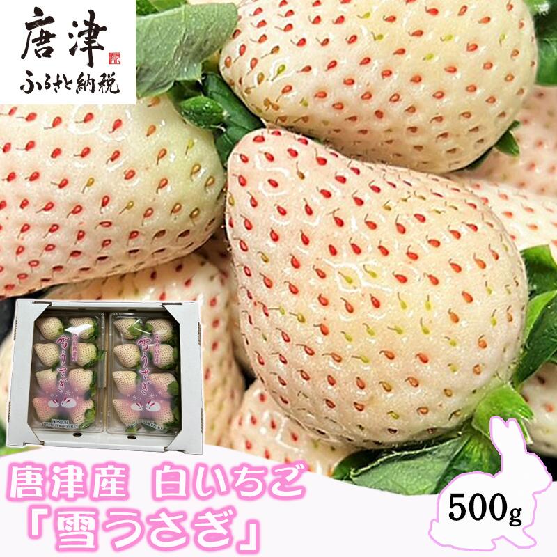 唐津産 白いちご「雪うさぎ」苺 イチゴ 希少 果物 フルーツ ハマファーム