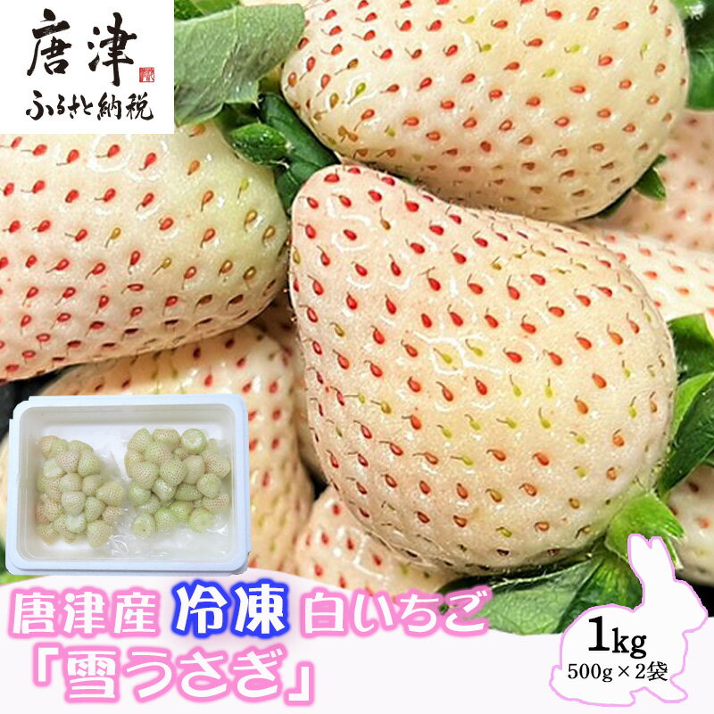唐津産 冷凍白いちご「雪うさぎ」500g×2袋(合計1kg) 真空包装 加工品用 苺 イチゴ 希少 果物 フルーツ
