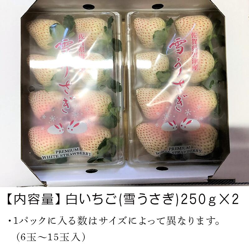 【ふるさと納税】唐津産 白いちご「雪うさぎ」苺 イチゴ 希少 果物 フルーツ ハマファーム サムネイル3