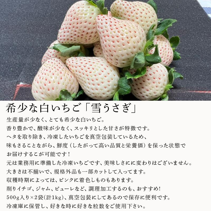 【ふるさと納税】唐津産 冷凍白いちご「雪うさぎ」500g×2袋(合計1kg) 真空包装 加工品用 苺 イチゴ 希少 果物 フルーツ サムネイル2